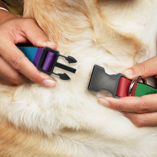 Plastic Clip Collar - Multi Color Blocks Plastic Clip Collars Buckle-Down   