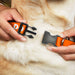 Plastic Clip Collar - Pet Quote DO NOT PET Orange/White Plastic Clip Collars Buckle-Down   