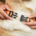 Plastic Clip Collar - Pet Quote NO DOGS Orange/White Plastic Clip Collars Buckle-Down   