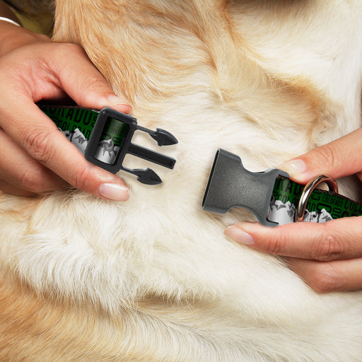 Plastic Clip Collar - Colorado Mountains Green/Black Text/Grays Plastic Clip Collars Buckle-Down   