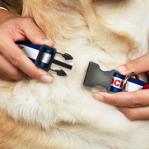 Plastic Clip Collar - Colorado CASTLE ROCK Flag Blue/White/Red/Yellows Plastic Clip Collars Buckle-Down   