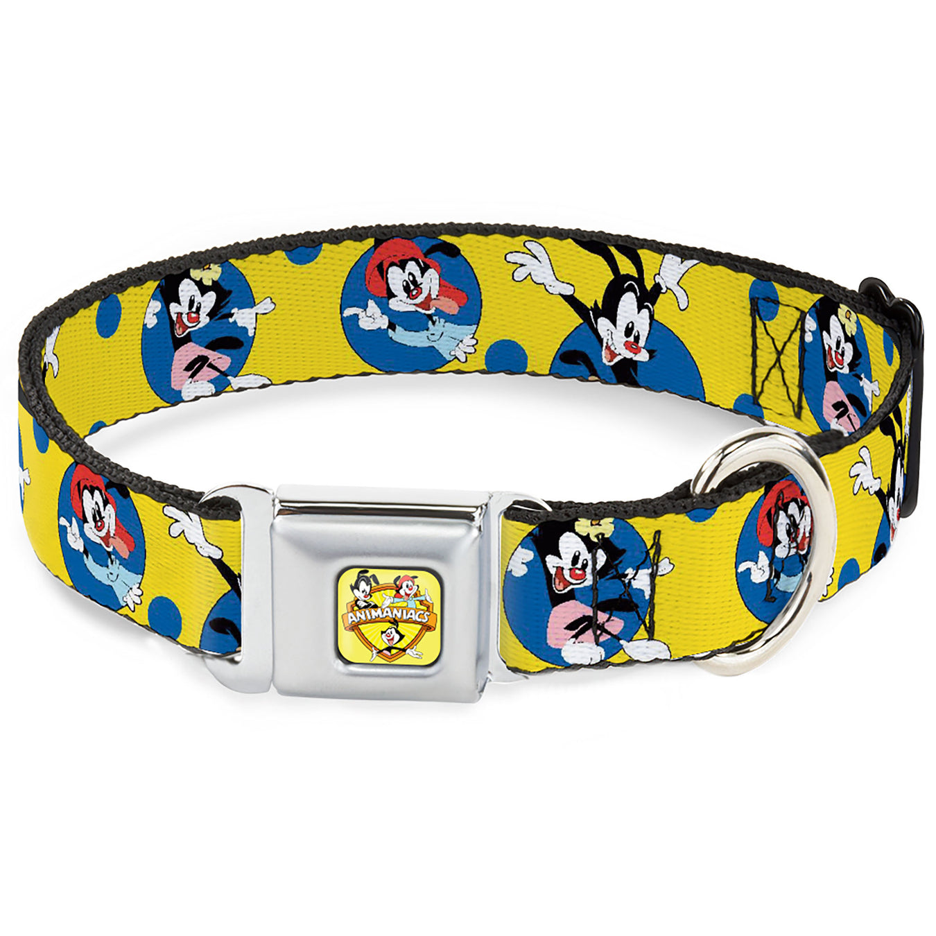 ANIMANIACS Title Logo Full Color Yellow Seatbelt Buckle Collar - Animaniacs Yakko Wakko and Dot Poses Yellow/Blue Seatbelt Buckle Collars Animaniacs   