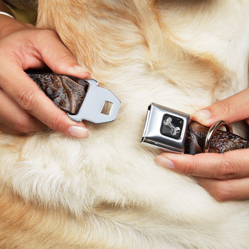 Dog Bone Black/Silver Seatbelt Buckle Collar - Vivid Grilled Steak Seatbelt Buckle Collars Buckle-Down   