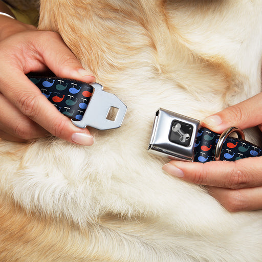 Dog Bone Black/Silver Seatbelt Buckle Collar - Whales Navy/Green/Blue/Red Seatbelt Buckle Collars Buckle-Down   