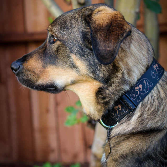 Dog Bone Seatbelt Buckle Collar - California Grizzly Bear Outline Black/Brown Seatbelt Buckle Collars Buckle-Down   