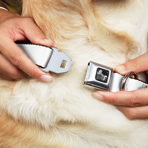 Dog Bone Black/Silver Seatbelt Buckle Collar - Dots/Grid White/Gray/Multi Color Seatbelt Buckle Collars Buckle-Down   