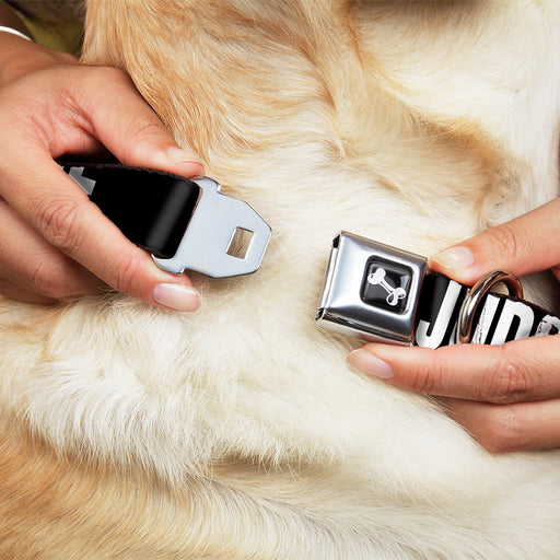 Dog Bone Black/Silver Seatbelt Buckle Collar - DON'T JUDGE ME Black/White Seatbelt Buckle Collars Buckle-Down   