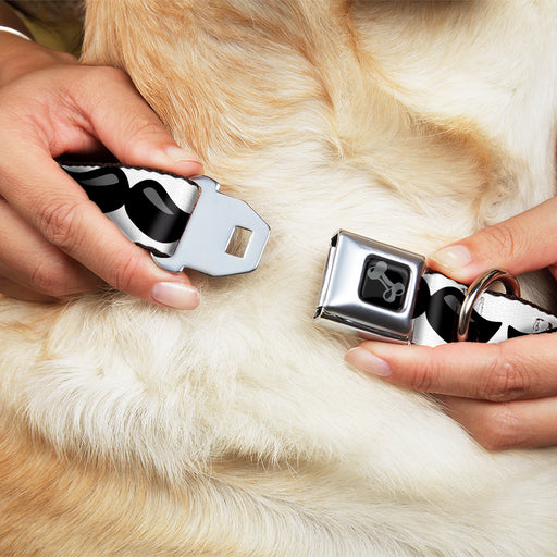 Dog Bone Black/Silver Seatbelt Buckle Collar - Plastic Mustache White/Black Seatbelt Buckle Collars Buckle-Down   