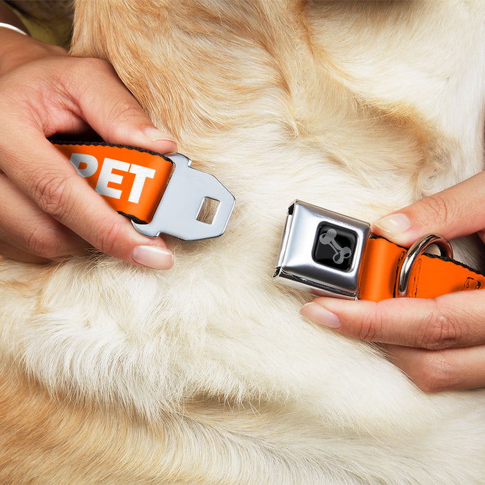 Dog Bone Black/Silver Seatbelt Buckle Collar - Pet Quote DO NOT PET Orange/White Seatbelt Buckle Collars Buckle-Down   