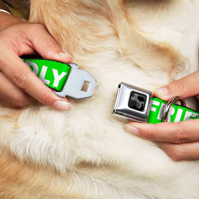 Dog Bone Black/Silver Seatbelt Buckle Collar - Pet Quote FRIENDLY Green/White Seatbelt Buckle Collars Buckle-Down   