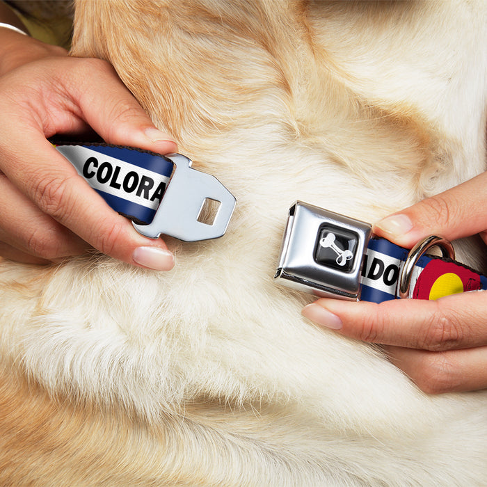 Dog Bone Black/Silver Seatbelt Buckle Collar - COLORADO Text Flag Blue/White/Red/Yellow Seatbelt Buckle Collars Buckle-Down   