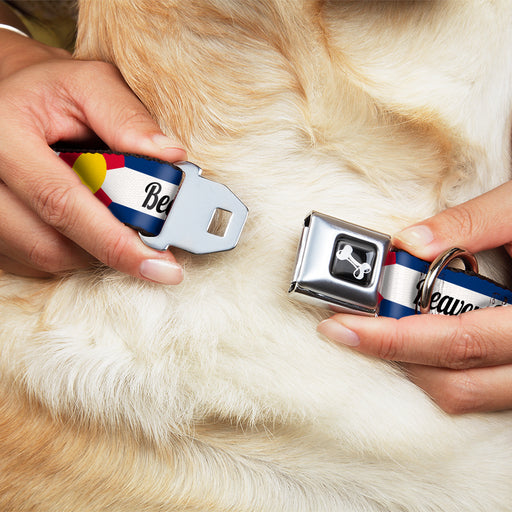 Dog Bone Black/Silver Seatbelt Buckle Collar - Colorado BEAVER CREEK Flag Blue/White/Red/Yellow Seatbelt Buckle Collars Buckle-Down   