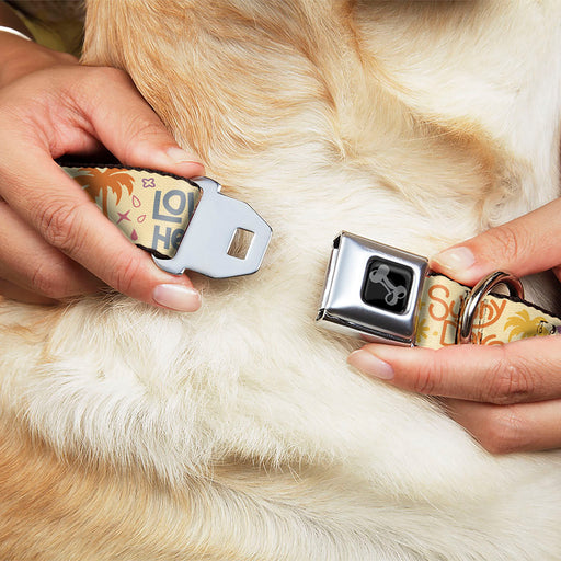 Dog Bone Black/Silver Seatbelt Buckle Collar - Summer Harmony Collage Beige/Multi Color Seatbelt Buckle Collars Buckle-Down   