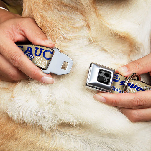 Dog Bone Black/Silver Seatbelt Buckle Collar - SAUCE Typography Collage Tan/White/Blue Seatbelt Buckle Collars Buckle-Down   