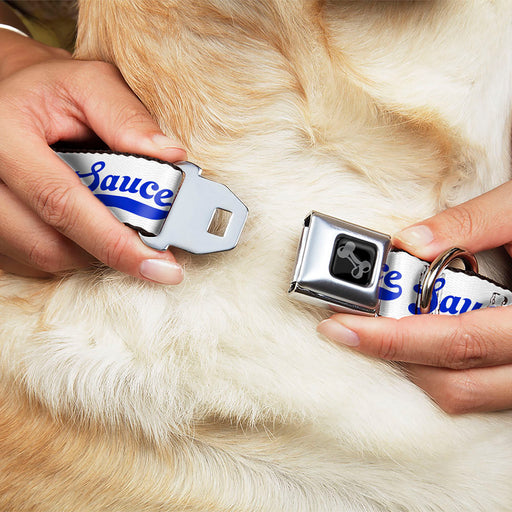 Dog Bone Black/Silver Seatbelt Buckle Collar - SAUCE Baseball Script White/Blue Seatbelt Buckle Collars Buckle-Down   