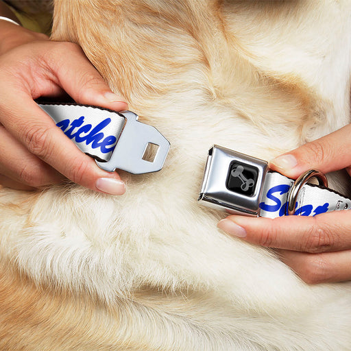 Dog Bone Black/Silver Seatbelt Buckle Collar - SNATCHED Script  White/Blue Seatbelt Buckle Collars Buckle-Down   