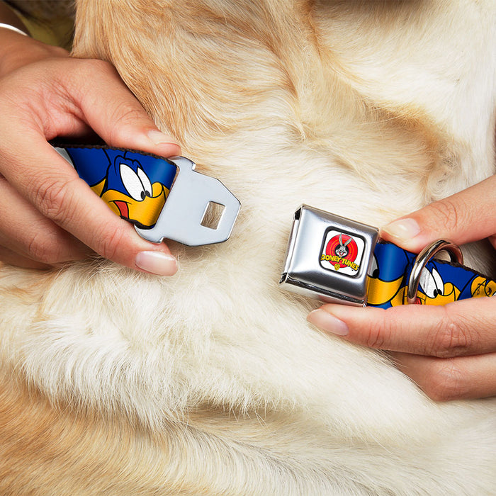 Looney Tunes Logo White Seatbelt Buckle Collar - Road Runner Expressions Royal Seatbelt Buckle Collars Looney Tunes   