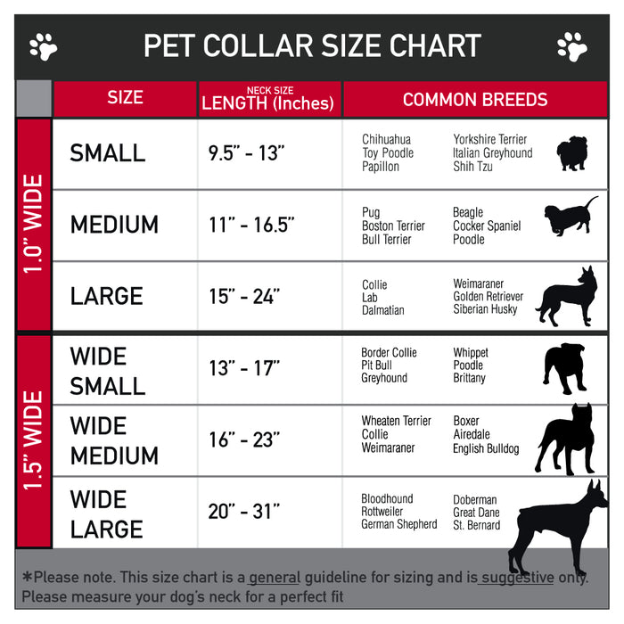 Dog Bone Black/Silver Seatbelt Buckle Collar - Smiley Sad Face Checker Black/White Seatbelt Buckle Collars Buckle-Down   