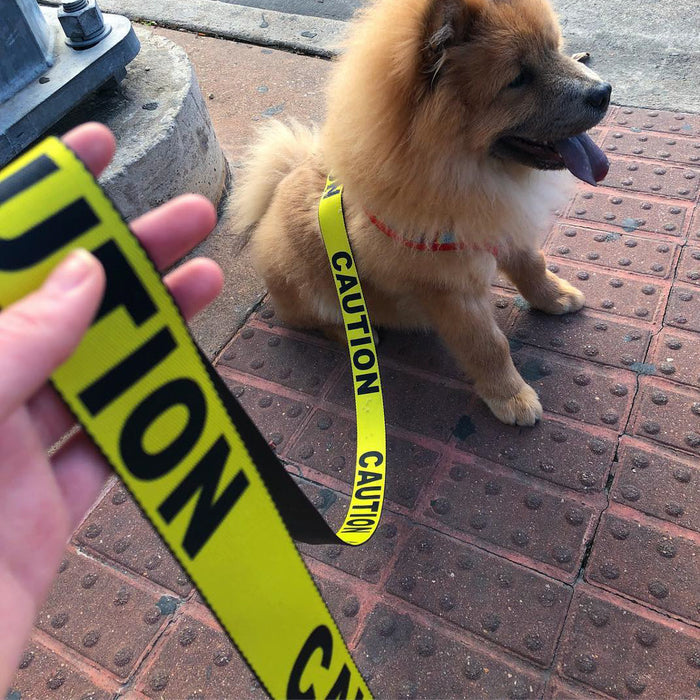 Dog Leash - CAUTION Yellow/Black Dog Leashes Buckle-Down   