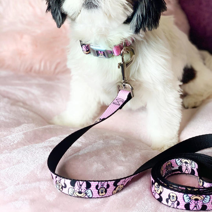 Dog Leash - Minnie Mouse Expressions Polka Dot Pink/White Dog Leashes Disney   