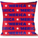 Buckle-Down Throw Pillow - MERICA/Star Red/Blue/White Throw Pillows Buckle-Down   