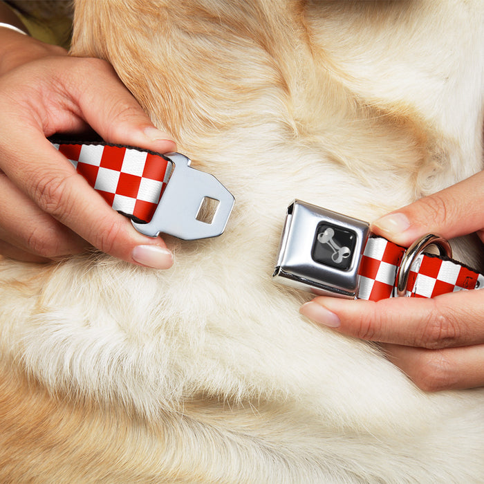 Dog Bone Seatbelt Buckle Collar - Checker Red/White Seatbelt Buckle Collars Buckle-Down   