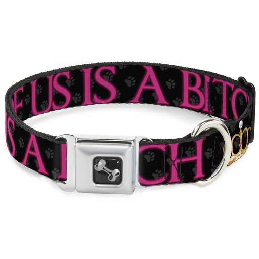 Buckle-Down Seatbelt Buckle Dog Collar - ONE OF US IS A BITCH Crown/Paws Black/Gray/Pink Seatbelt Buckle Collars Buckle-Down   