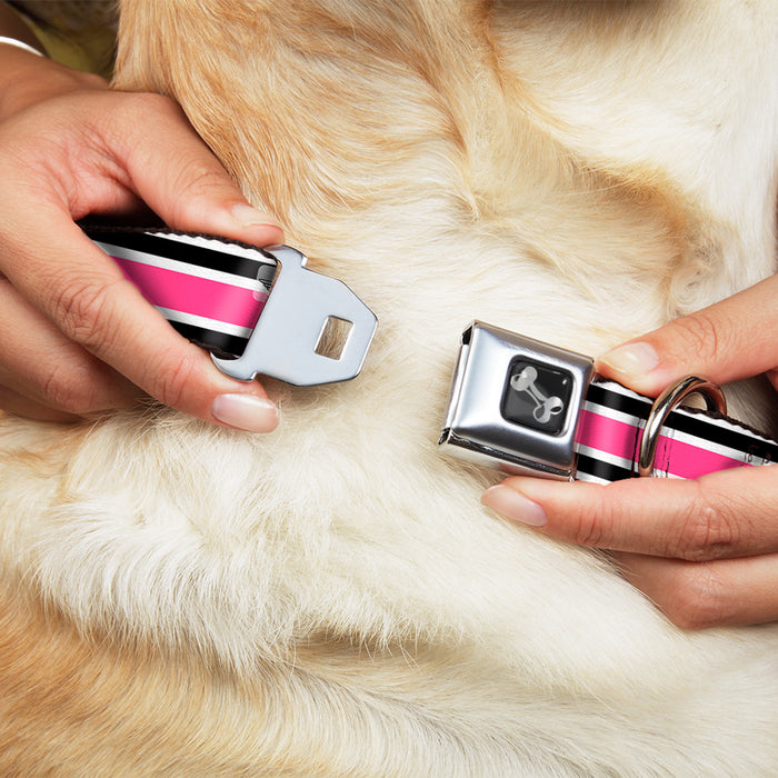 Dog Bone Seatbelt Buckle Collar - Stripes White/Black/White/Pink Seatbelt Buckle Collars Buckle-Down   