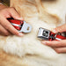 Dog Bone Seatbelt Buckle Collar - Rampant Lion Repeat/Stripes Red/White/Black Seatbelt Buckle Collars Buckle-Down   