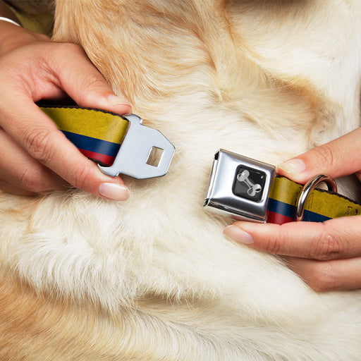 Dog Bone Seatbelt Buckle Collar - Colombia Flag Distressed Seatbelt Buckle Collars Buckle-Down   