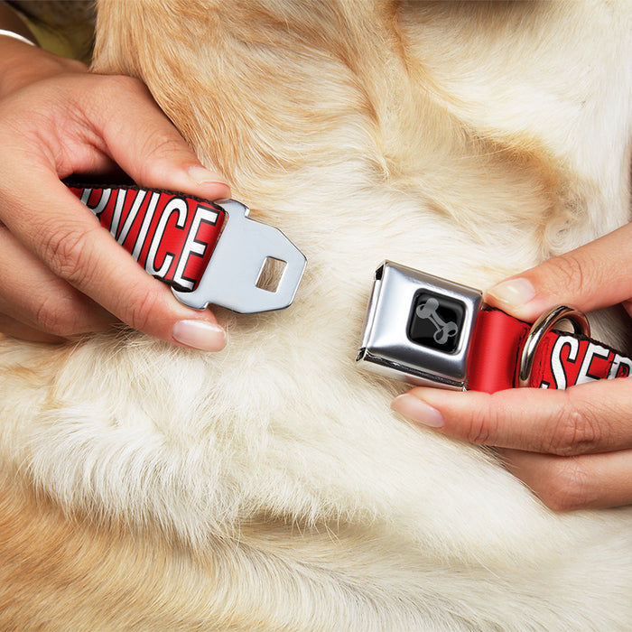 Dog Bone Black/Silver Seatbelt Buckle Collar - SERVICE DOG Red/Black/White Seatbelt Buckle Collars Buckle-Down   