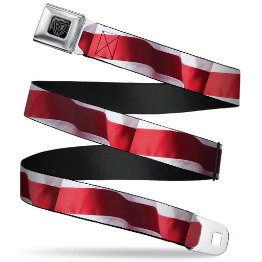 BD Wings Logo CLOSE-UP Full Color Black Silver Seatbelt Belt - American Flag Vivid Stripes CLOSE-UP Red/White Webbing Seatbelt Belts Buckle-Down   