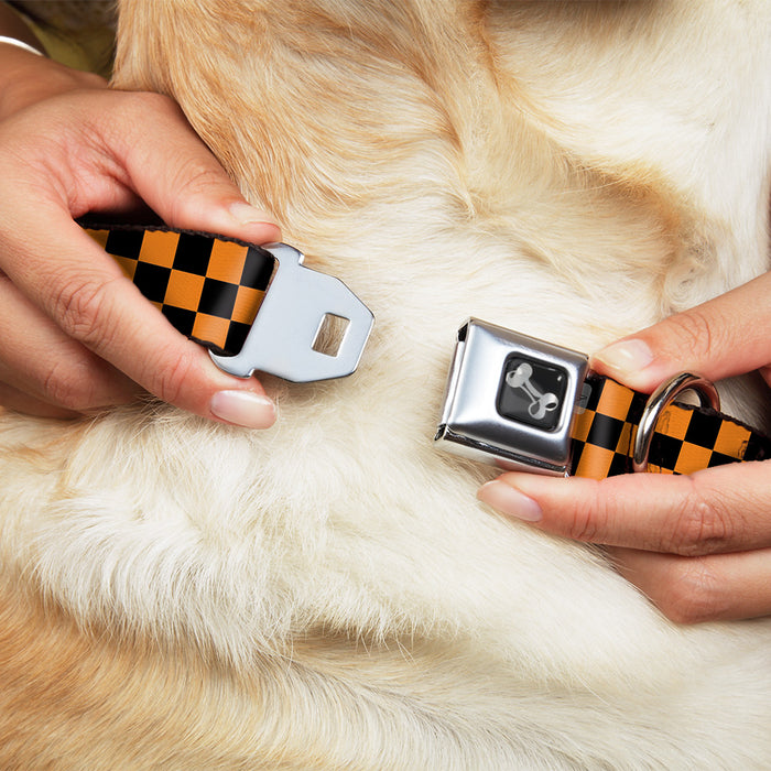 Dog Bone Seatbelt Buckle Collar - Checker Black/Neon Orange Seatbelt Buckle Collars Buckle-Down   