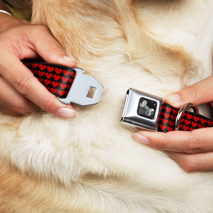Dog Bone Seatbelt Buckle Collar - Mini Hearts Black/Red Seatbelt Buckle Collars Buckle-Down   
