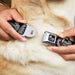 Dog Bone Seatbelt Buckle Collar - Paisley2 Black/White Seatbelt Buckle Collars Buckle-Down   