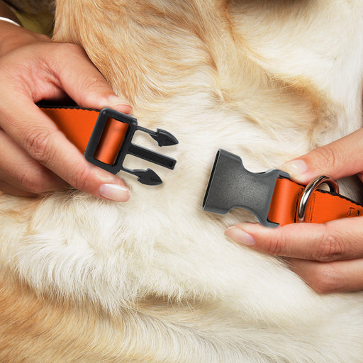 Plastic Clip Collar - Neon Orange Plastic Clip Collars Buckle-Down   