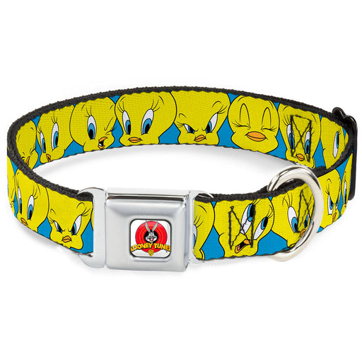 Looney Tunes Logo Full Color White Seatbelt Buckle Collar - Tweety Bird CLOSE-UP Expressions Baby Blue Seatbelt Buckle Collars Looney Tunes   