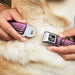 Dog Bone Seatbelt Buckle Collar - Stripe Transition Black/Pink Seatbelt Buckle Collars Buckle-Down   