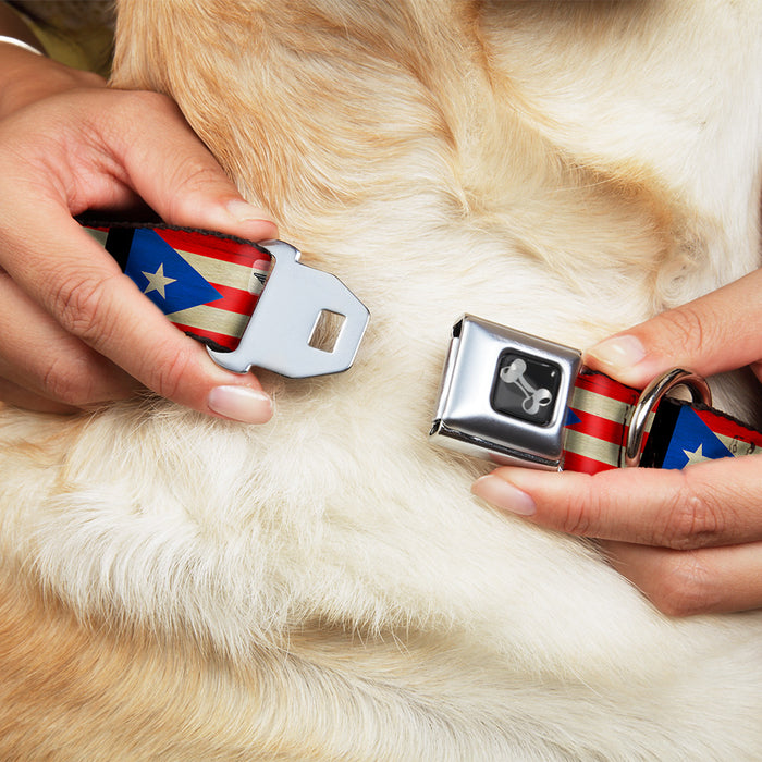 Dog Bone Seatbelt Buckle Collar - Puerto Rico Flag Weathered Seatbelt Buckle Collars Buckle-Down   
