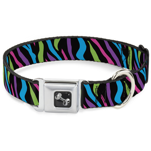 Dog Bone Seatbelt Buckle Collar - Zebra Black/Blue/Green/Pink/Purple Seatbelt Buckle Collars Buckle-Down   