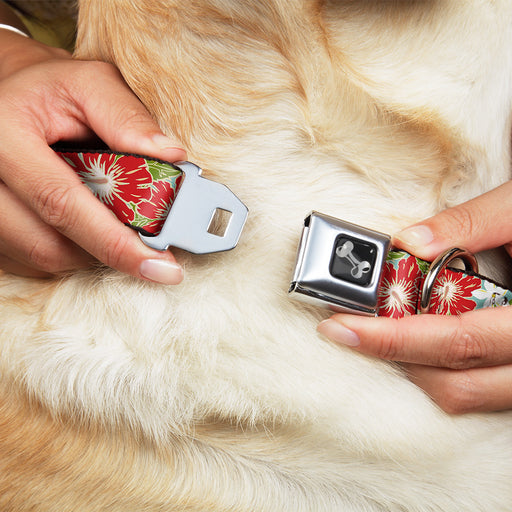 Dog Bone Seatbelt Buckle Collar - Hibiscus & Plumerias Turquoise/Green/Red/White Seatbelt Buckle Collars Buckle-Down   