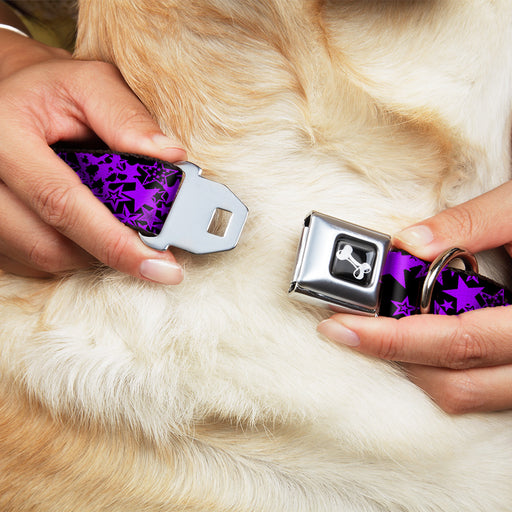 Dog Bone Seatbelt Buckle Collar - Stargazer Black/Purple Seatbelt Buckle Collars Buckle-Down   