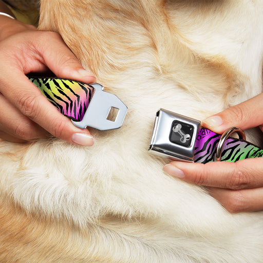 Dog Bone Seatbelt Buckle Collar - Animal Skins Rainbow/Black Seatbelt Buckle Collars Buckle-Down   