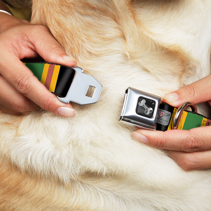Dog Bone Seatbelt Buckle Collar - Lines Black/Gold/Pink/Green Seatbelt Buckle Collars Buckle-Down   