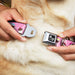 Dog Bone Seatbelt Buckle Collar - Cupcake Swirls Pink/Multi Color Seatbelt Buckle Collars Buckle-Down   