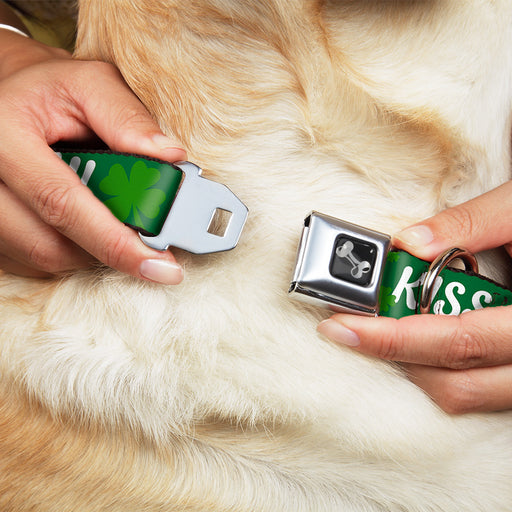 Dog Bone Seatbelt Buckle Collar - KISS ME, I'M IRISH! Clovers Green/White Seatbelt Buckle Collars Buckle-Down   