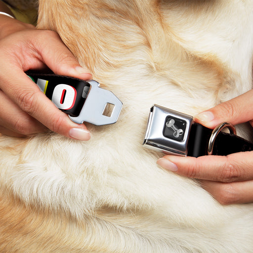 Dog Bone Seatbelt Buckle Collar - YOLO Black/Multi Color Seatbelt Buckle Collars Buckle-Down   