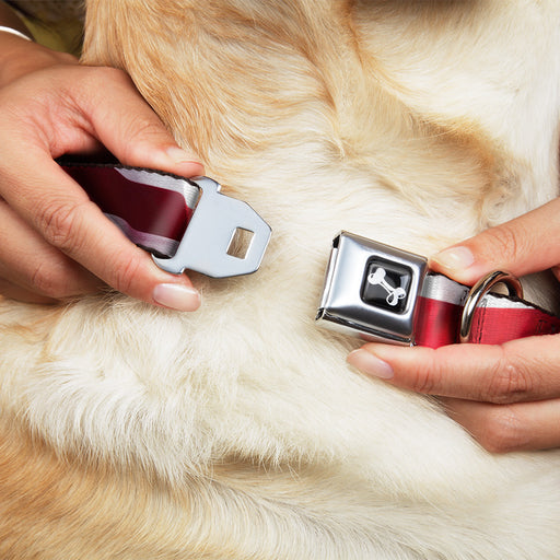 Dog Bone Seatbelt Buckle Collar - American Flag Vivid Stripes CLOSE-UP Red/White Seatbelt Buckle Collars Buckle-Down   