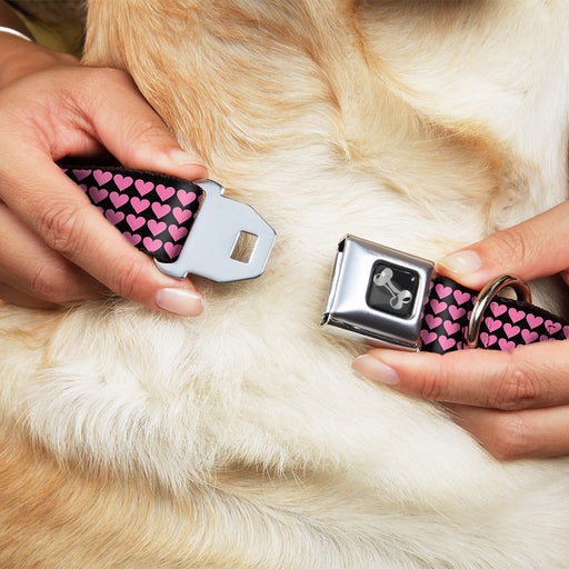 Dog Bone Seatbelt Buckle Collar - Mini Hearts Black/Pink Seatbelt Buckle Collars Buckle-Down   