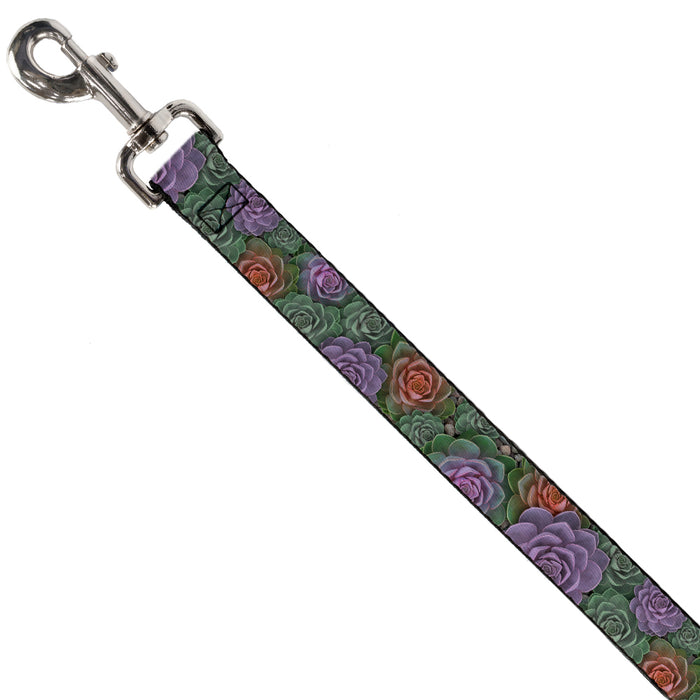 Dog Leash - Succulents Stacked Green/Pink/Orange Dog Leashes Buckle-Down   